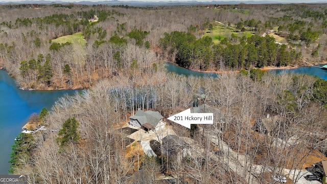 201 Hickory Hill Ln, Martin, GA 30557 - aerial view of a forest and a nearby body of water
