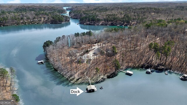 201 Hickory Hill Ln, Martin, GA 30557 - aerial view of property and surrounding area with a forest and a large body of water