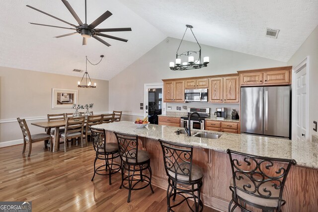 201 Hickory Hill Ln, Martin, GA 30557 - kitchen with appliances with stainless steel finishes, a chandelier, a sink, light wood finished floors, and a kitchen bar