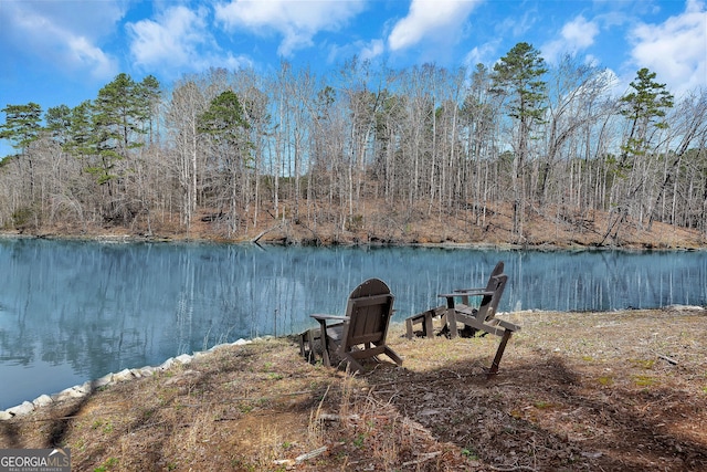 201 Hickory Hill Ln, Martin, GA 30557 - water view