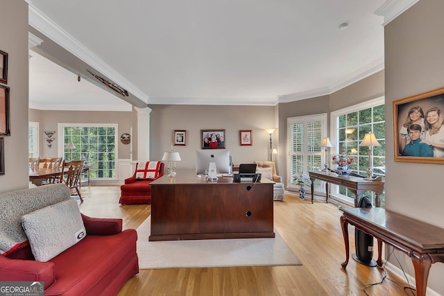 6302 Manassas Pass NW, Acworth, GA 30101 - office space featuring ornate columns, light wood-type flooring, crown molding, and plenty of natural light