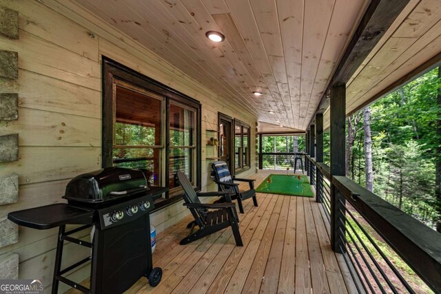 25 Hidden Ridge Ct, Cherry Log, GA 30522 - porch with grilling area and french doors