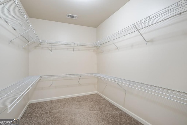 203 Creek View Ln, Acworth, GA 30102 - walk in closet featuring carpet floors