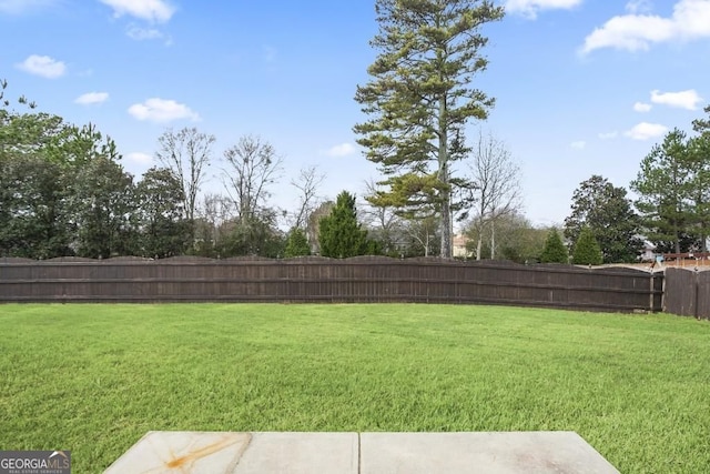 203 Creek View Ln, Acworth, GA 30102 - view of fenced backyard