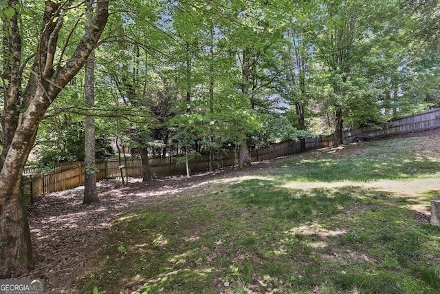 3850 Stepney Way, Cumming, GA 30041 - view of fenced backyard