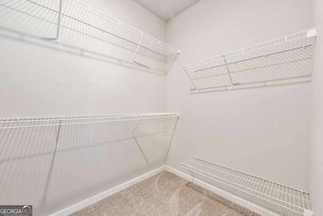 175 Orchard Ln, Covington, GA 30014 - spacious closet with carpet