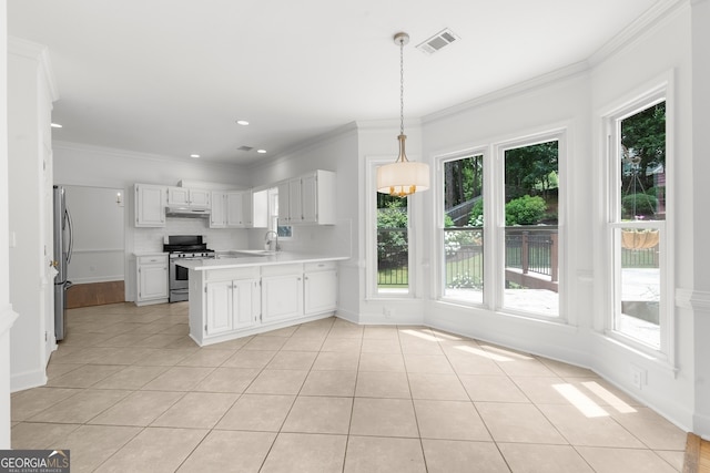 10865 Misty Moon Ct, Alpharetta, GA 30022 - kitchen with stainless steel appliances, healthy amount of natural light, light countertops, a peninsula, and ornamental molding