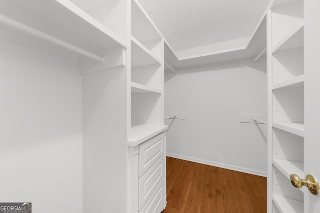 10865 Misty Moon Ct, Alpharetta, GA 30022 - walk in closet with wood finished floors