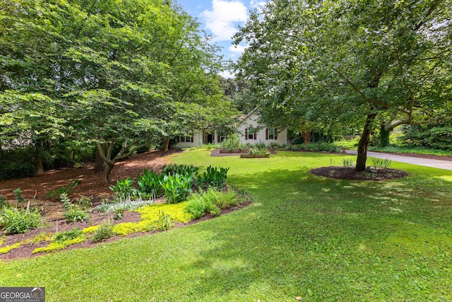 205 N Strathmore Dr, Sharpsburg, GA 30277 - view of green lawn