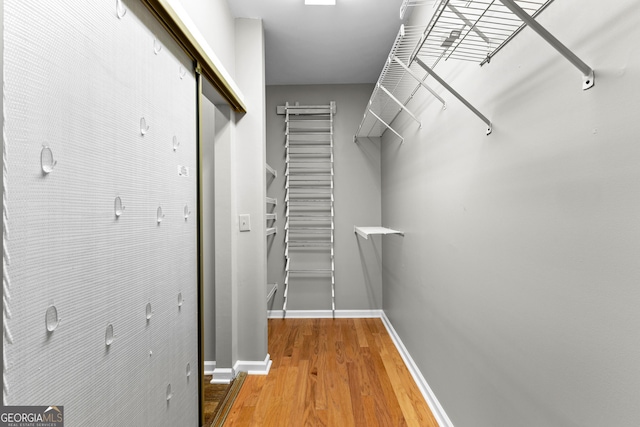 205 N Strathmore Dr, Sharpsburg, GA 30277 - spacious closet featuring light wood-type flooring