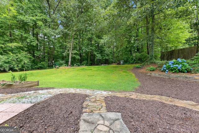 205 N Strathmore Dr, Sharpsburg, GA 30277 - view of yard with a vegetable garden and a view of trees