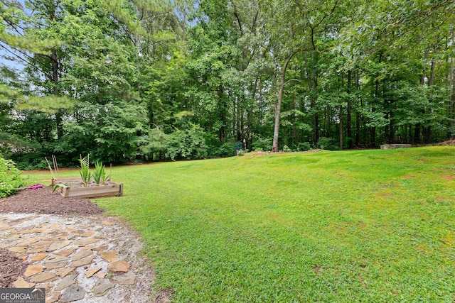 205 N Strathmore Dr, Sharpsburg, GA 30277 - view of green lawn with a vegetable garden