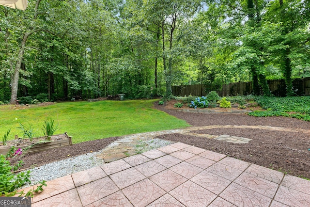 205 N Strathmore Dr, Sharpsburg, GA 30277 - view of yard with a patio area and a vegetable garden