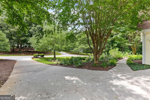 205 N Strathmore Dr, Sharpsburg, GA 30277 - view of yard