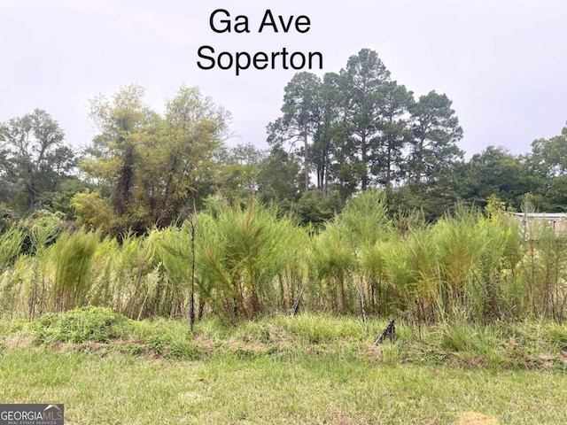 000375 Brooks Kirkland Rd, Vidalia, GA 30474 - view of local wilderness