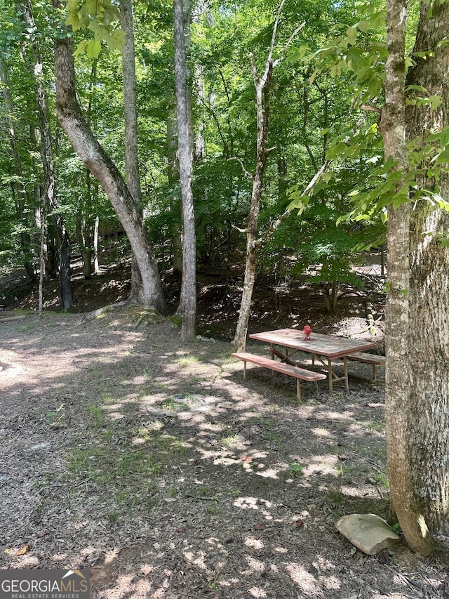 30 26th St, Ellijay, GA 30540 - view of yard