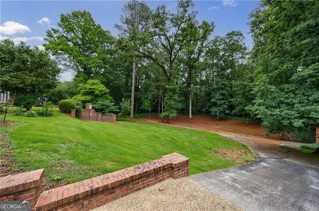 280 Blackland Rd NW, Atlanta, GA 30342 - view of green lawn