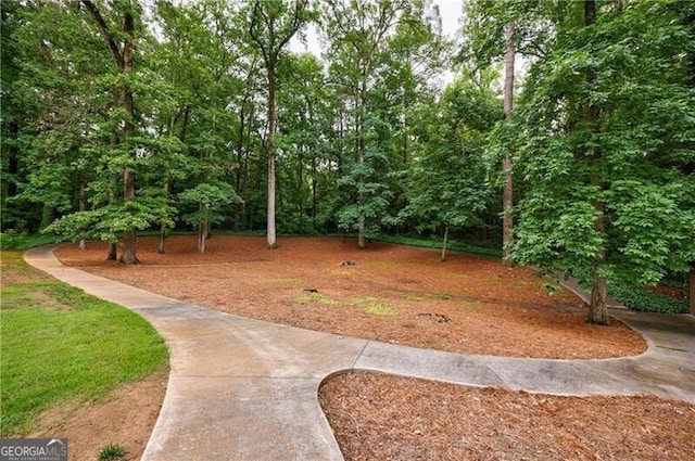 280 Blackland Rd NW, Atlanta, GA 30342 - view of yard