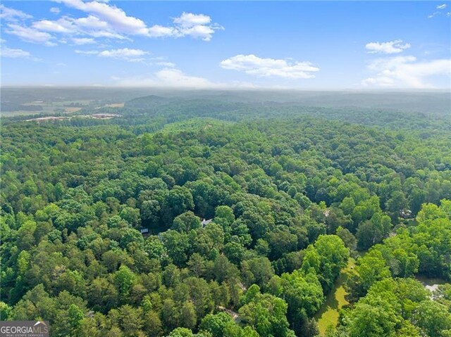 437 Jewell Slaton Rd, Dawsonville, GA 30534 - bird's eye view of a forest