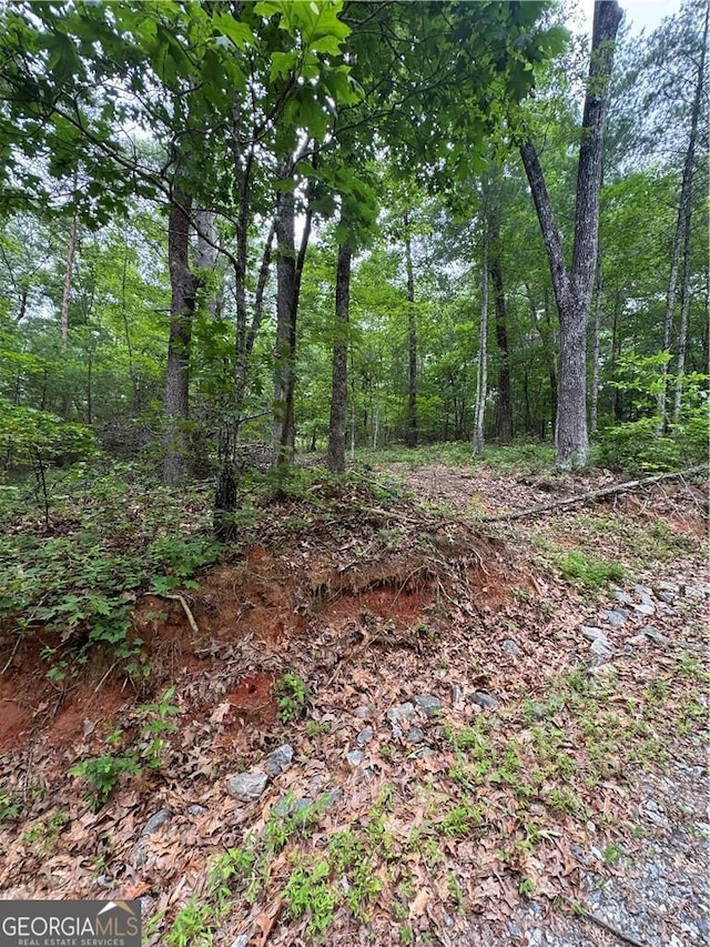 0 Nimblewill Creek Rd, Dahlonega, GA 30533