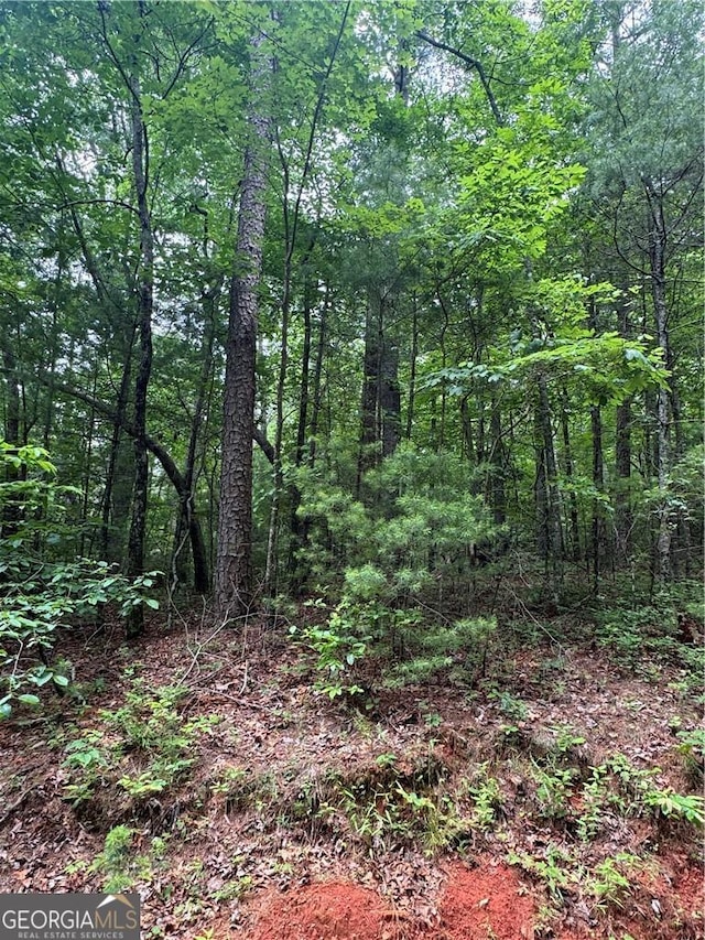 0 Nimblewill Creek Rd, Dahlonega, GA 30533