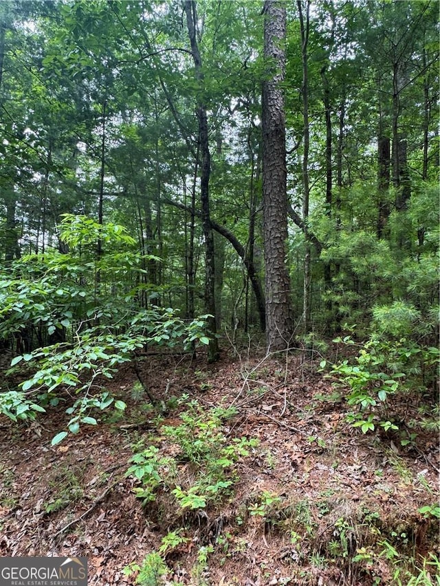 0 Nimblewill Creek Rd, Dahlonega, GA 30533