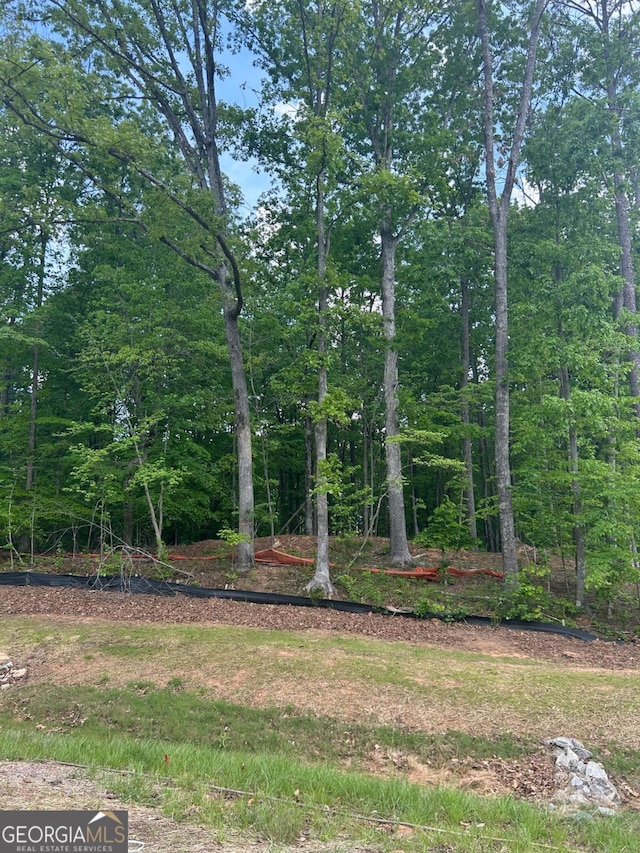 240 Thompson Trl, Alpharetta, GA 30004