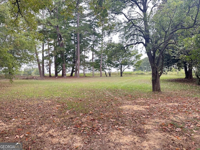 746 Thomas Rd, Trion, GA 30753 - view of yard