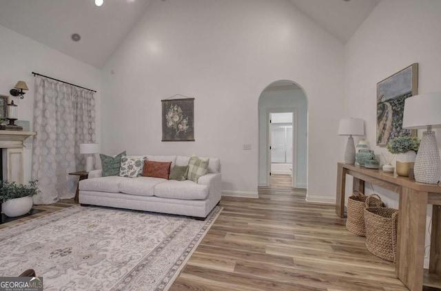 1488 Pleasant Hill Rd NE, Ranger, GA 30734 - living room with high vaulted ceiling, arched walkways, light wood-type flooring, and baseboards