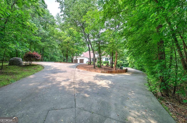 1488 Pleasant Hill Rd NE, Ranger, GA 30734 - view of front of house featuring driveway and a garage