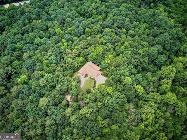 1488 Pleasant Hill Rd NE, Ranger, GA 30734 - aerial view of property's location featuring a heavily wooded area