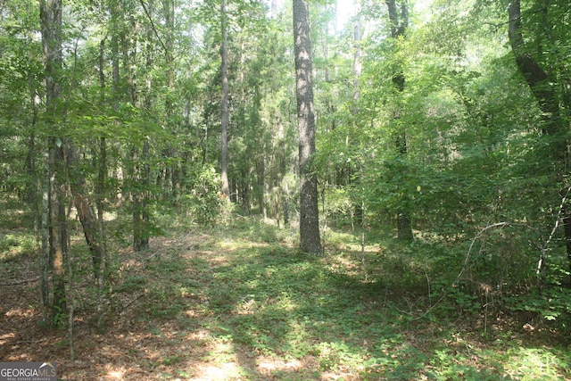 176 Seagull Rd, Cochran, GA 31014