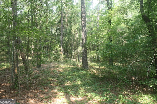 176 Seagull Rd, Cochran, GA 31014
