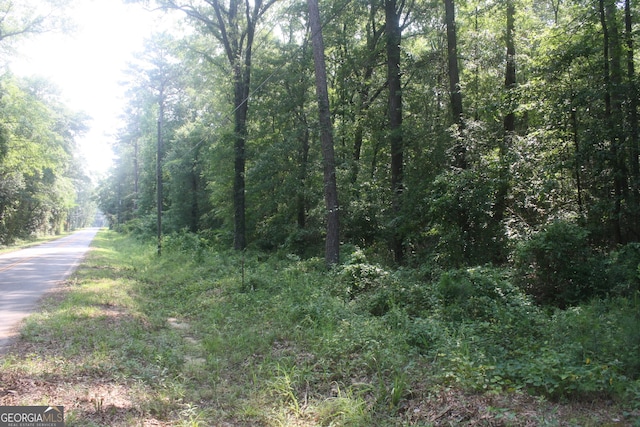 176 Seagull Rd, Cochran, GA 31014