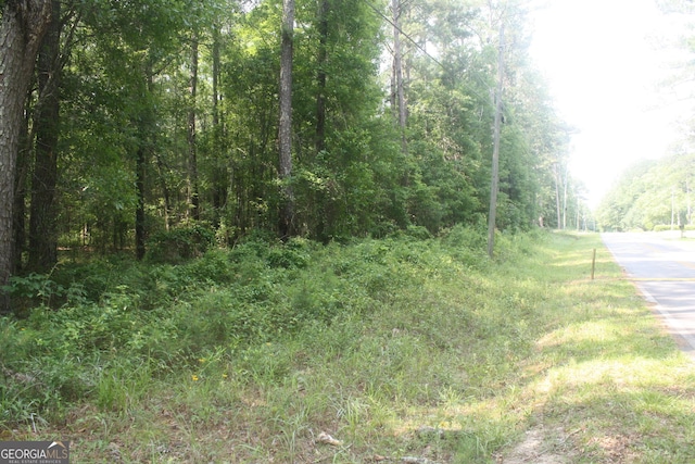 176 Seagull Rd, Cochran, GA 31014