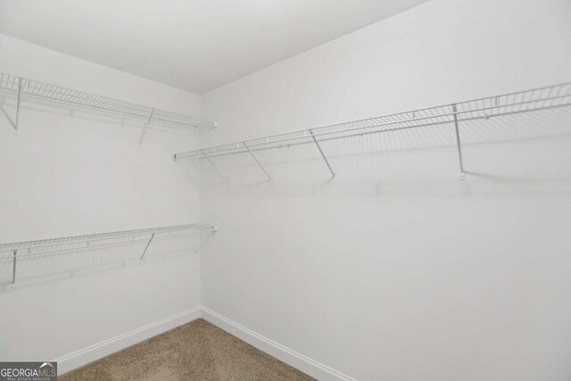 4546 Water Mill Dr, Buford, GA 30519 - spacious closet with light carpet