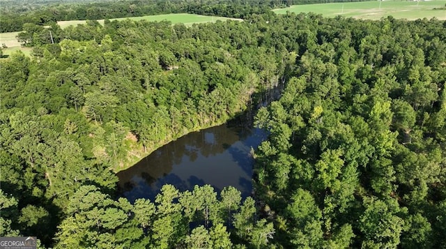 0 Sweetwater Branch Rd, Fort Mitchell, AL 36856