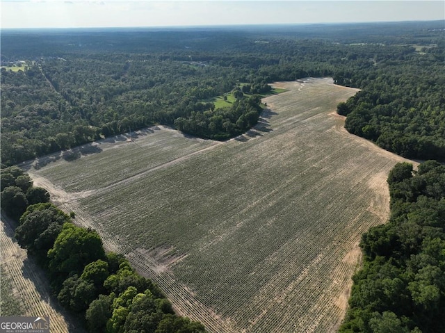 0 Sweetwater Branch Rd, Fort Mitchell, AL 36856