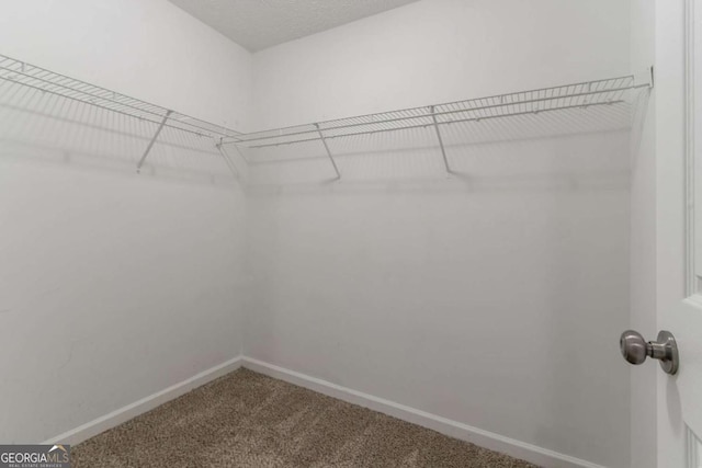 2191 Phillips Rd, Lithonia, GA 30058 - walk in closet with carpet flooring