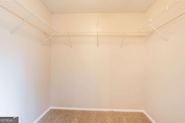 5092 Stone Trce, Stone Mountain, GA 30083 - spacious closet with carpet floors