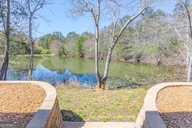 168 State Line Rd, Cloudland, GA 30731 - water view featuring a forest