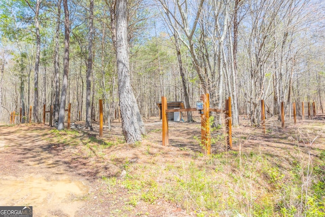 168 State Line Rd, Cloudland, GA 30731 - view of yard with a wooded view