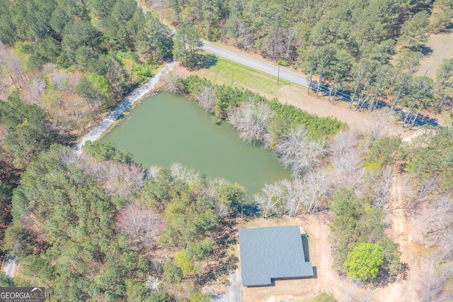 168 State Line Rd, Cloudland, GA 30731 - drone / aerial view of a large body of water
