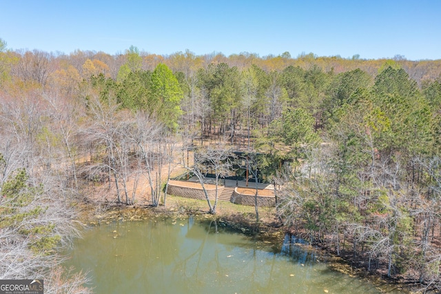 168 State Line Rd, Cloudland, GA 30731 - view from above of property featuring a heavily wooded area