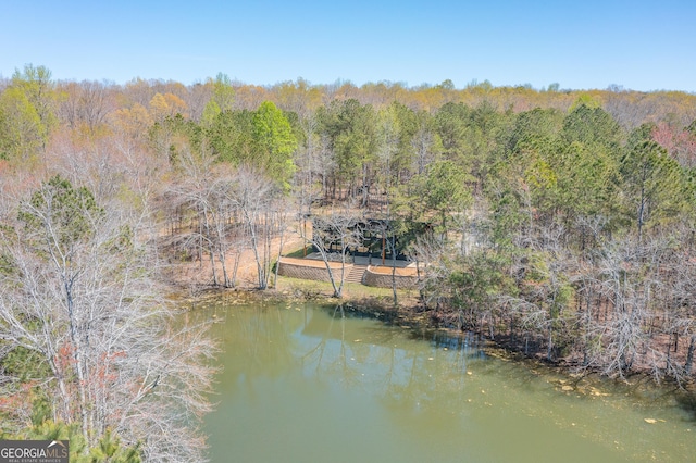 168 State Line Rd, Cloudland, GA 30731 - view from above of property featuring a forest and a nearby body of water