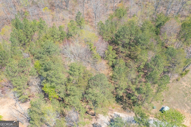 168 State Line Rd, Cloudland, GA 30731 - aerial view of a heavily wooded area