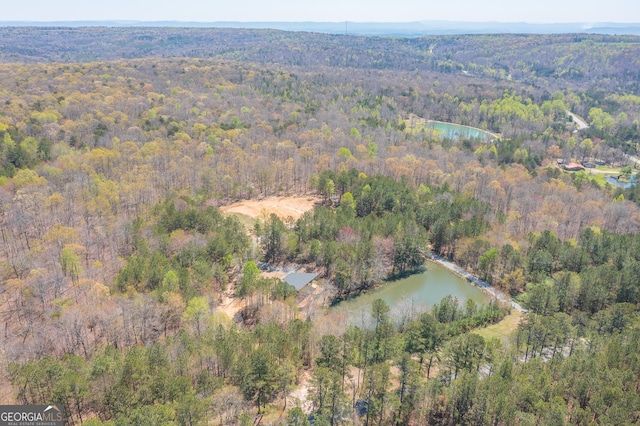 168 State Line Rd, Cloudland, GA 30731 - view of property location with a heavily wooded area and a large body of water
