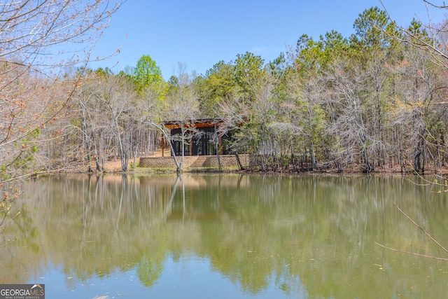 168 State Line Rd, Cloudland, GA 30731 - water view featuring a forest
