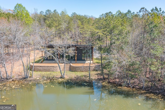 168 State Line Rd, Cloudland, GA 30731 - dock area with a view of trees and a water view