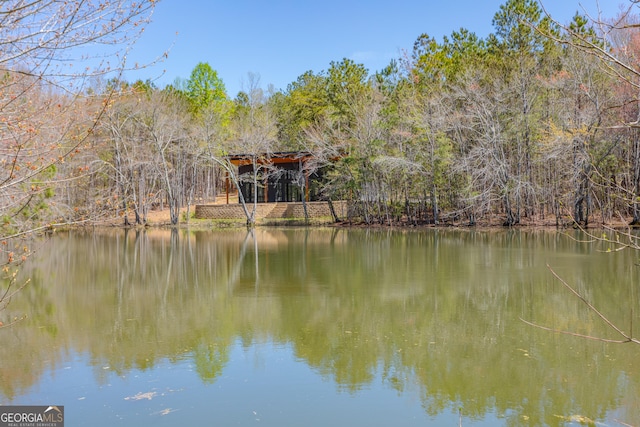 168 State Line Rd, Cloudland, GA 30731 - water view with a forest